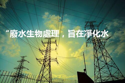 “廢水生物處理，旨在凈化水源，守護(hù)碧水藍(lán)天”